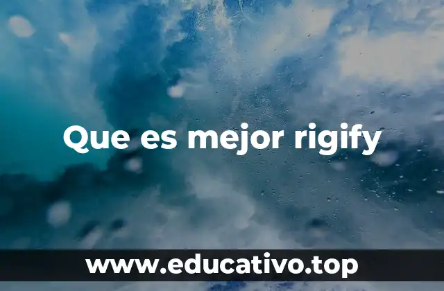 Que es mejor rigify