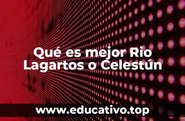 Qué es mejor Rio Lagartos o Celestún