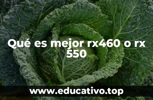 Qué es mejor rx460 o rx 550