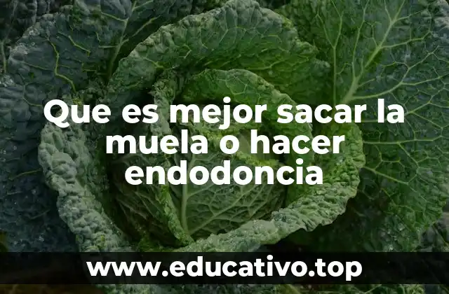 Que es mejor sacar la muela o hacer endodoncia