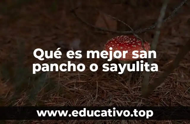 Qué es mejor san pancho o sayulita