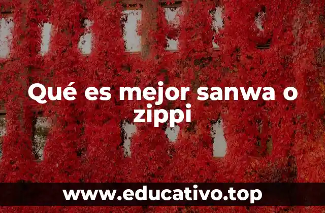 Qué es mejor sanwa o zippi