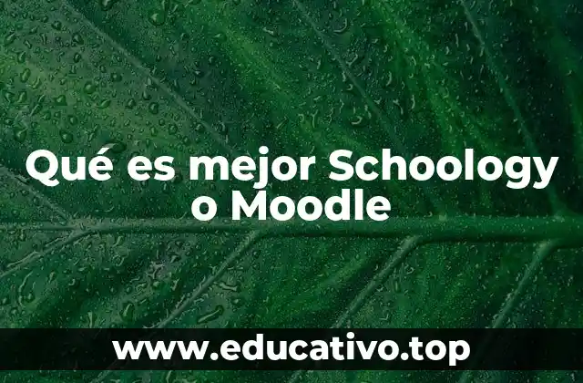 Qué es mejor Schoology o Moodle