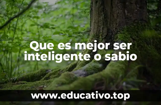 Que es mejor ser inteligente o sabio
