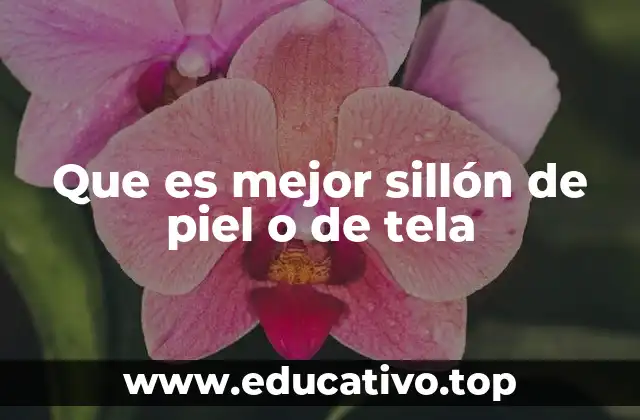 Que es mejor sillón de piel o de tela