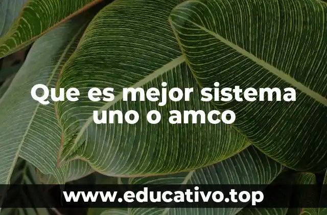 Que es mejor sistema uno o amco