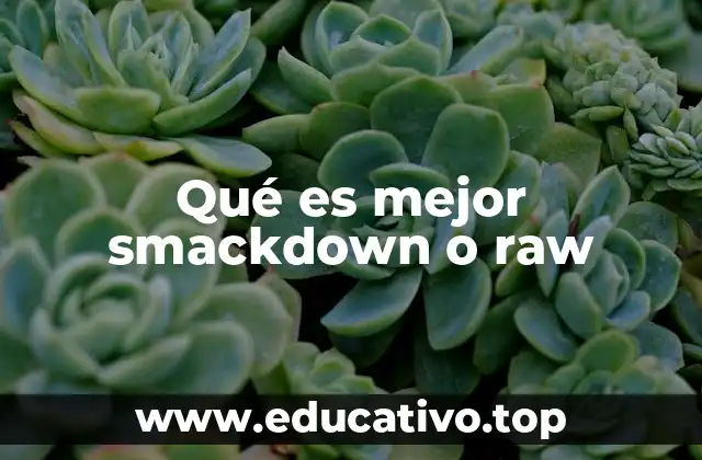 Qué es mejor smackdown o raw