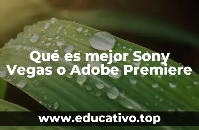Qué es mejor Sony Vegas o Adobe Premiere