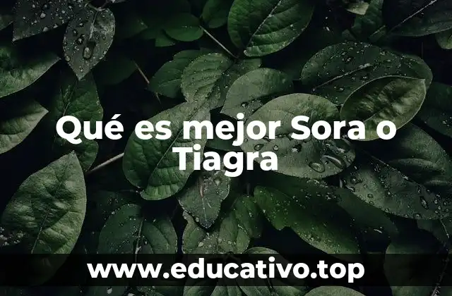 Qué es mejor Sora o Tiagra