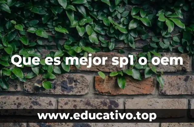 Que es mejor sp1 o oem