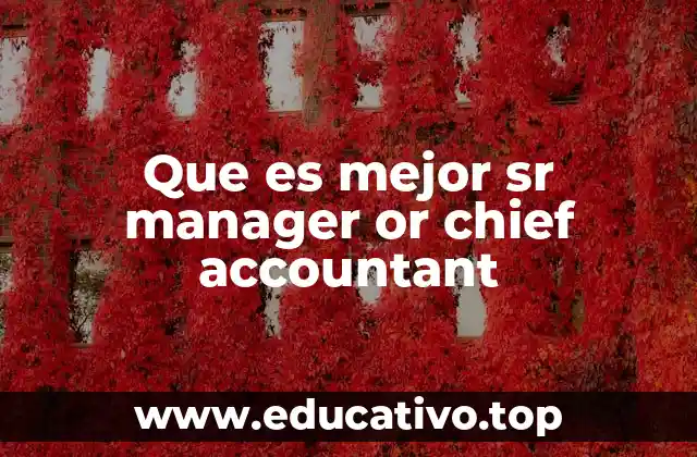 Que es mejor sr manager or chief accountant