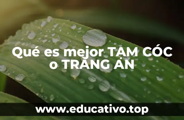 Qué es mejor TẠM CÓC o TRÀNG AN