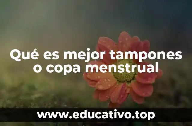Qué es mejor tampones o copa menstrual