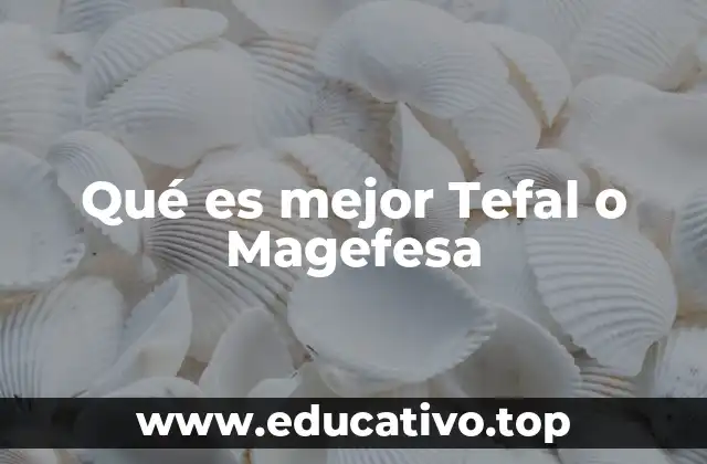 Qué es mejor Tefal o Magefesa