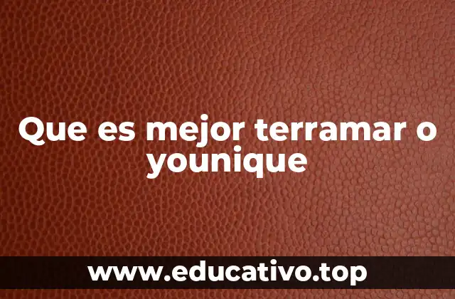 Que es mejor terramar o younique