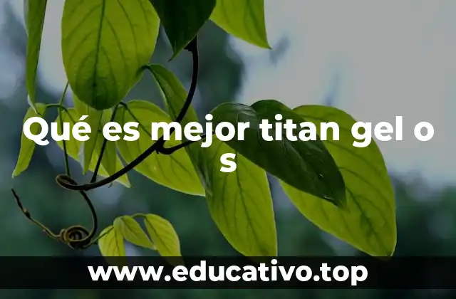 Qué es mejor titan gel o s