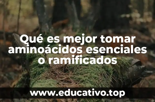 Qué es mejor tomar aminoácidos esenciales o ramificados