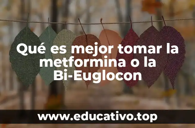 Qué es mejor tomar la metformina o la Bi-Euglocon