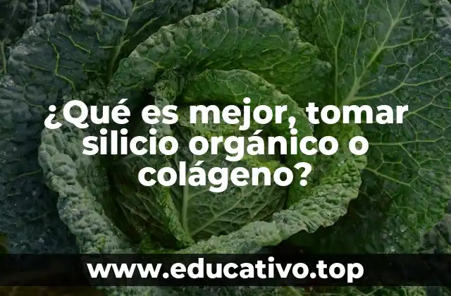 ¿Qué es mejor, tomar silicio orgánico o colágeno?