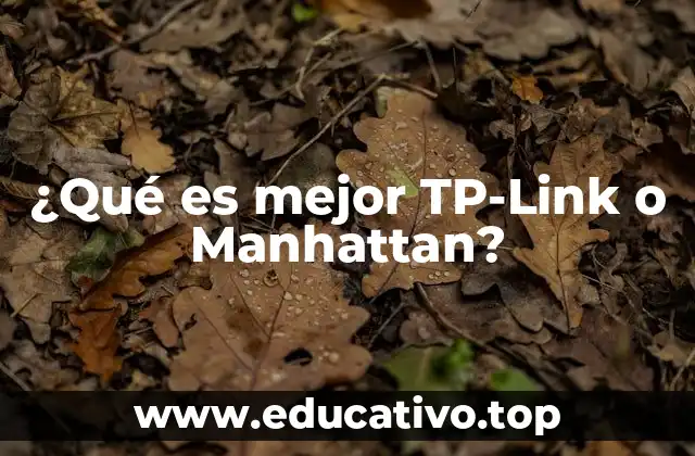 ¿Qué es mejor TP-Link o Manhattan?