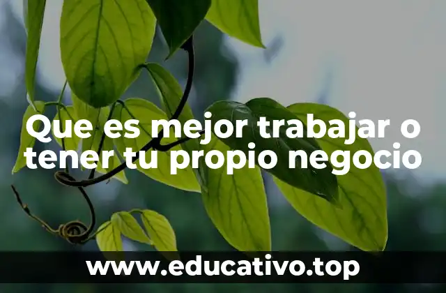 Que es mejor trabajar o tener tu propio negocio