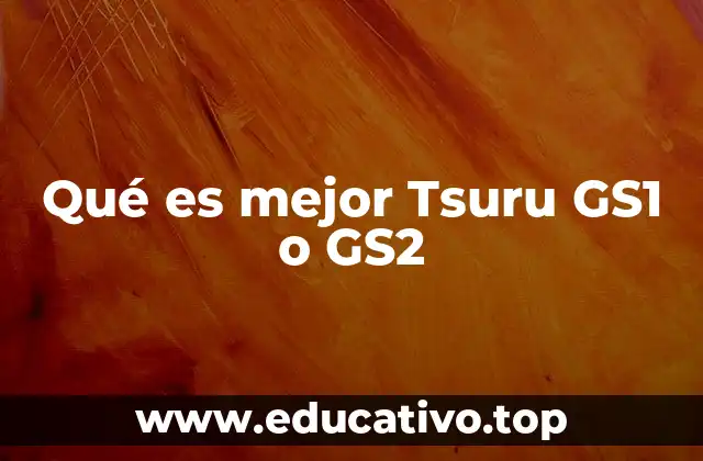 Qué es mejor Tsuru GS1 o GS2