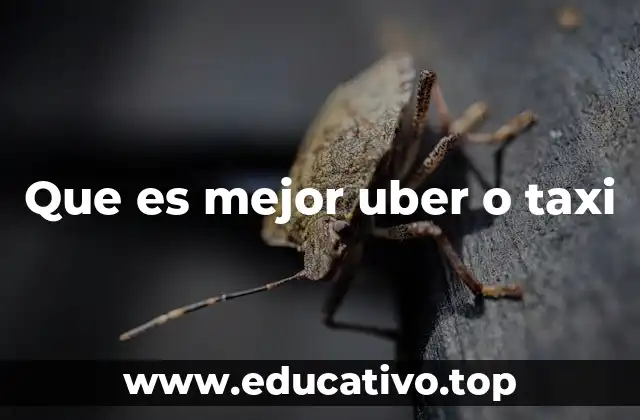 Que es mejor uber o taxi