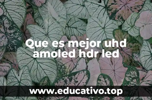 Que es mejor uhd amoled hdr led