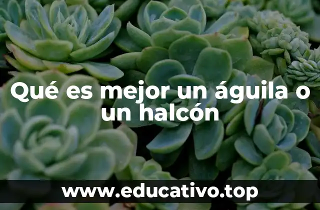 Qué es mejor un águila o un halcón