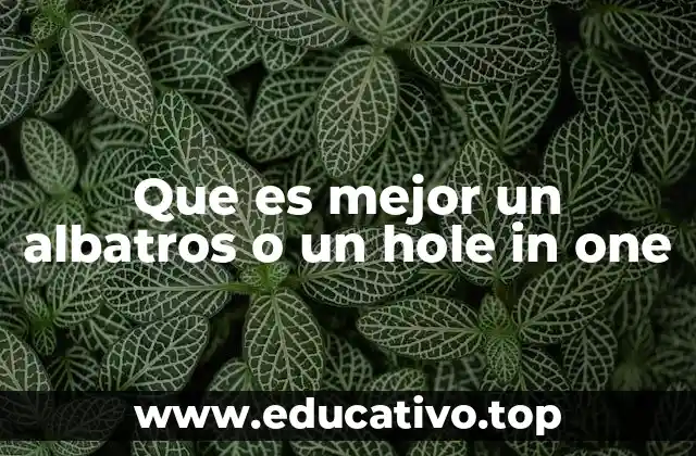 Que es mejor un albatros o un hole in one