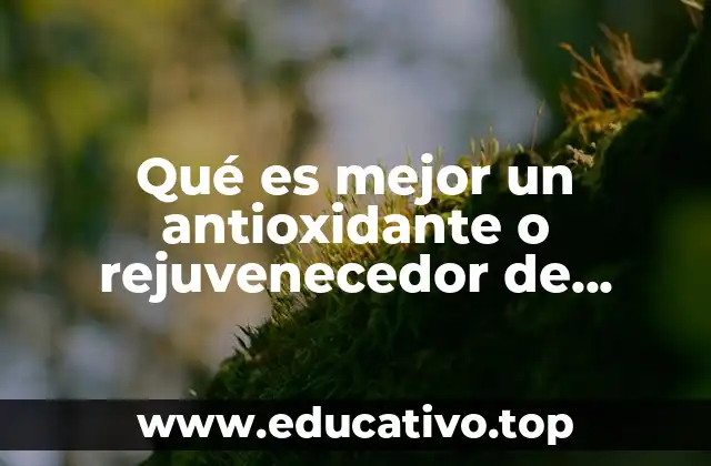 Qué es mejor un antioxidante o rejuvenecedor de células