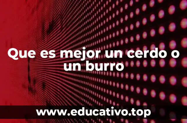 Que es mejor un cerdo o un burro