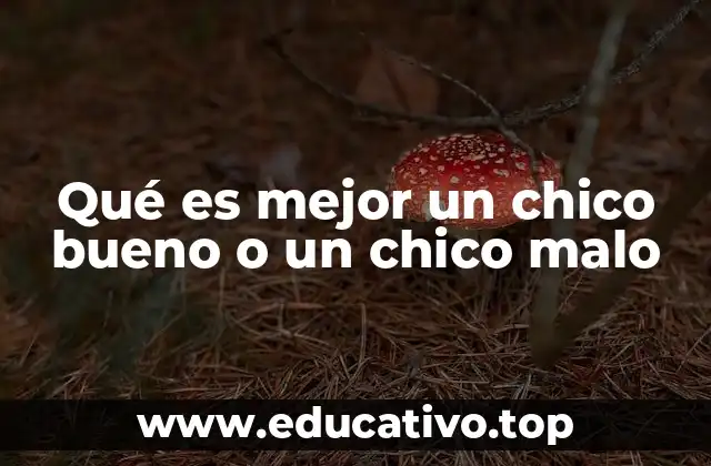 Qué es mejor un chico bueno o un chico malo