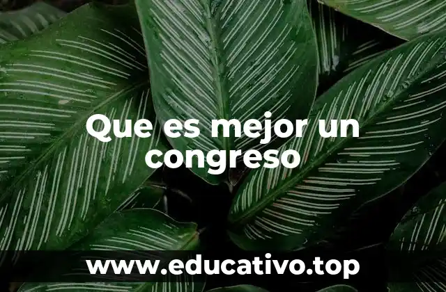 Que es mejor un congreso