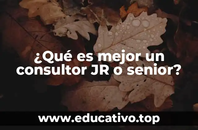 ¿Qué es mejor un consultor JR o senior?