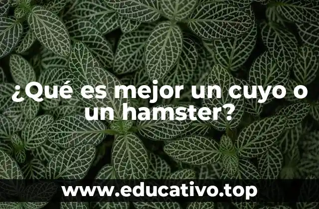 ¿Qué es mejor un cuyo o un hamster?