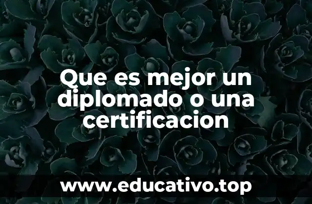 Que es mejor un diplomado o una certificacion