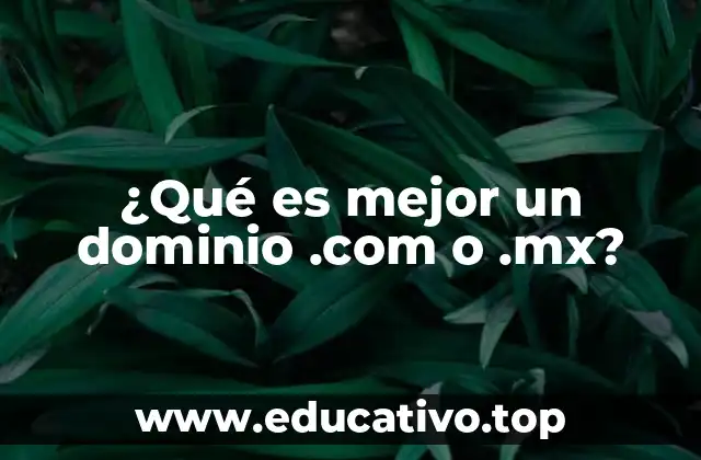 Comparando las ventajas de las extensiones de dominio