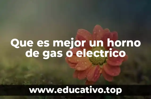 Características principales de los hornos de gas y eléctricos