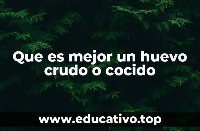 Diferencias entre preparaciones al huevo y su impacto en la salud