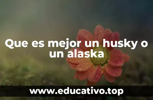 Que es mejor un husky o un alaska