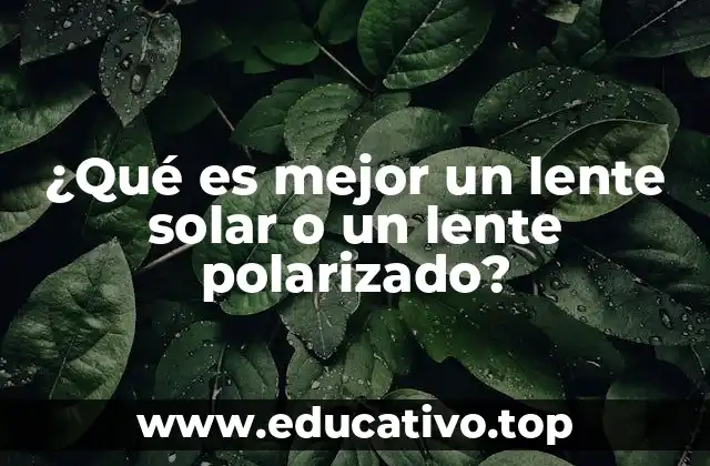 ¿Qué es mejor un lente solar o un lente polarizado?