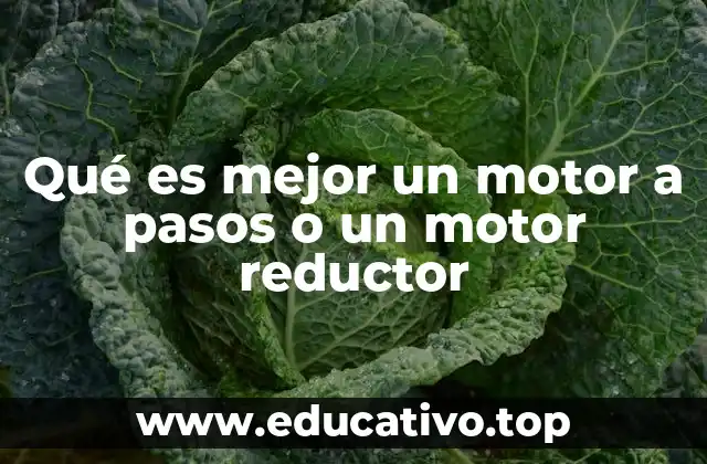 Qué es mejor un motor a pasos o un motor reductor