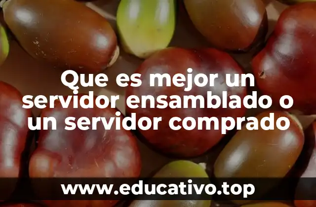 Que es mejor un servidor ensamblado o un servidor comprado