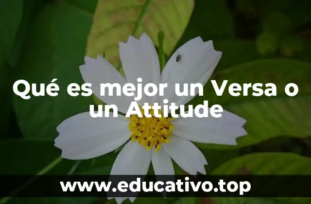 Qué es mejor un Versa o un Attitude