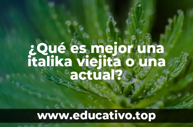 ¿Qué es mejor una italika viejita o una actual?