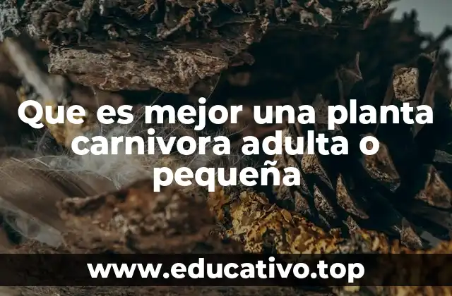 Que es mejor una planta carnivora adulta o pequeña
