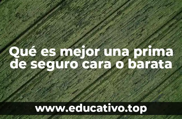 Qué es mejor una prima de seguro cara o barata