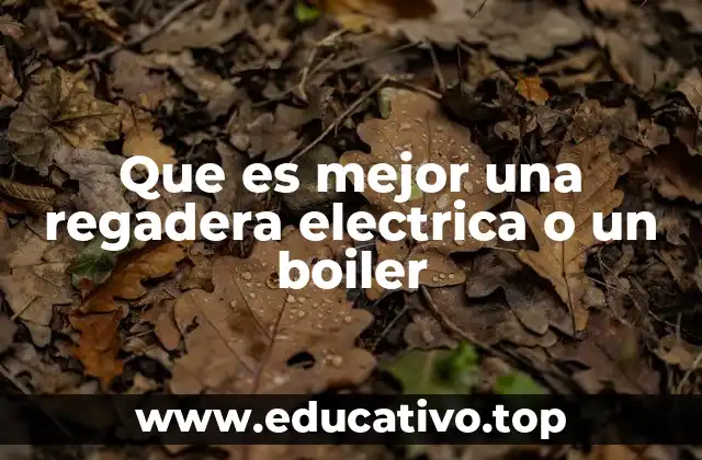 Que es mejor una regadera electrica o un boiler