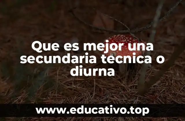 Que es mejor una secundaria tecnica o diurna